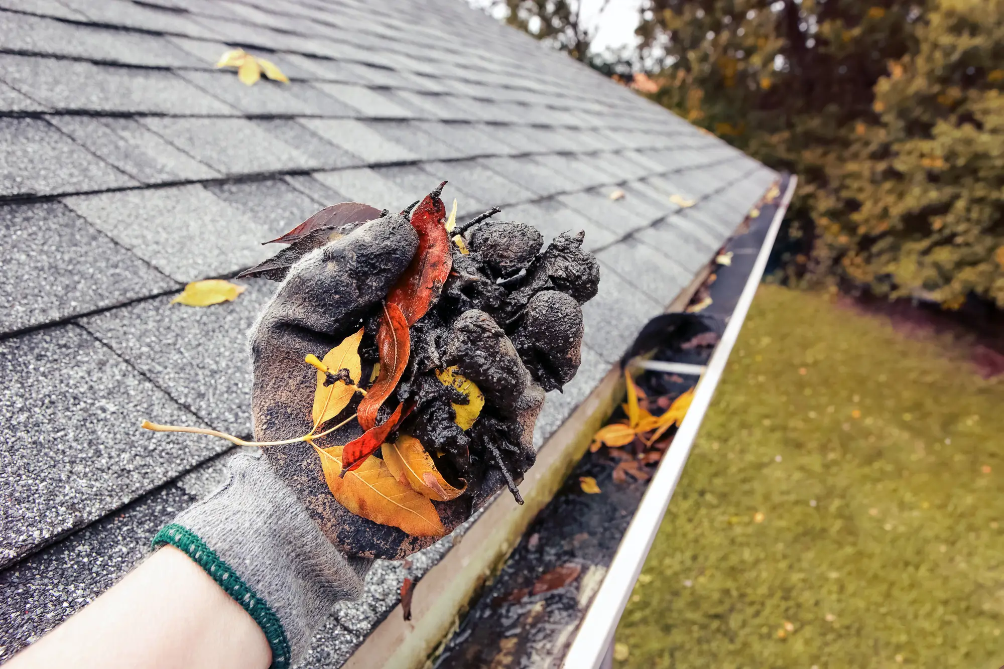 gutter cleaning and gutter cleanout st clair shores